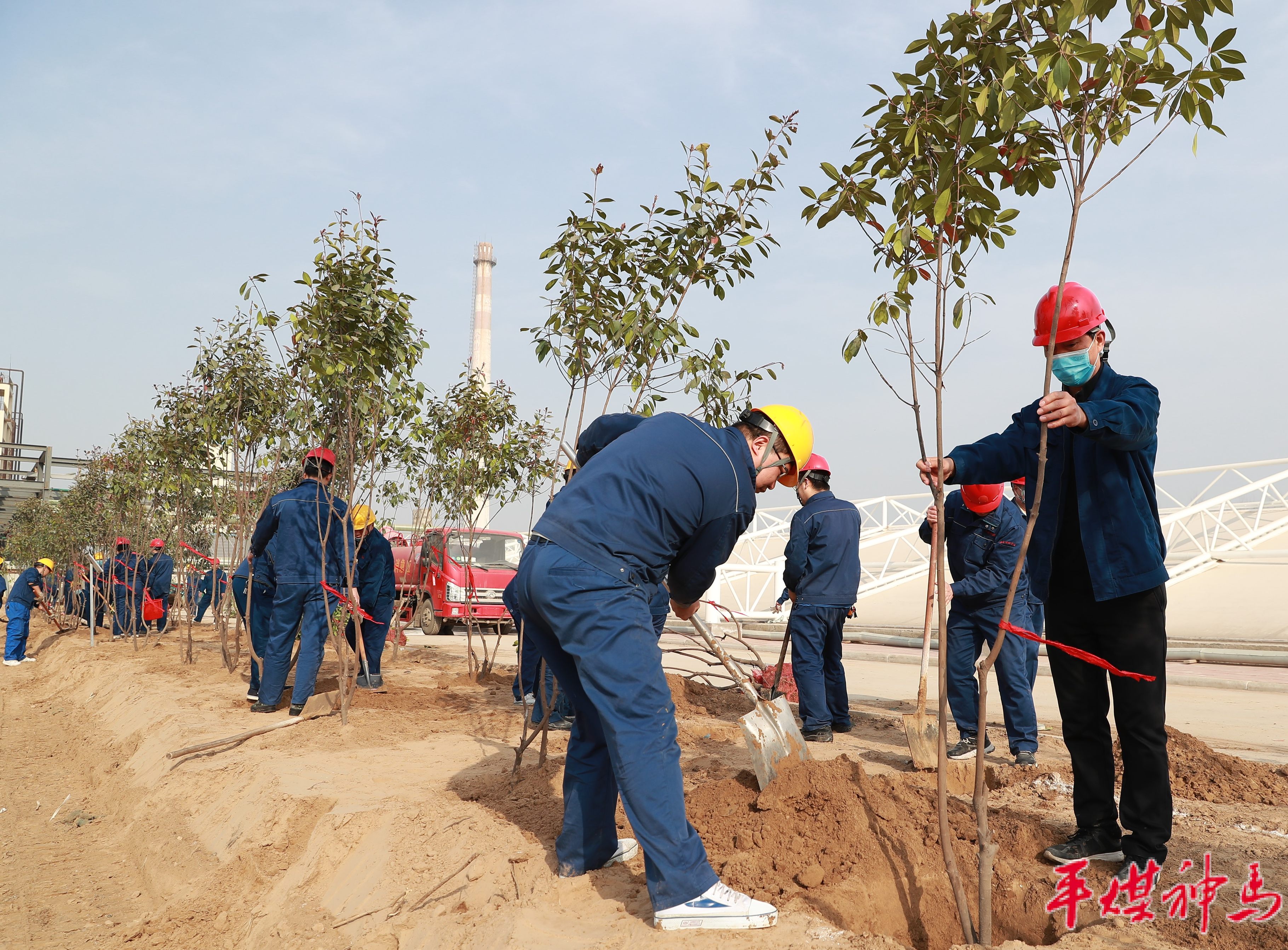 Kaifeng Xinghua Company launched voluntary tree planting activities